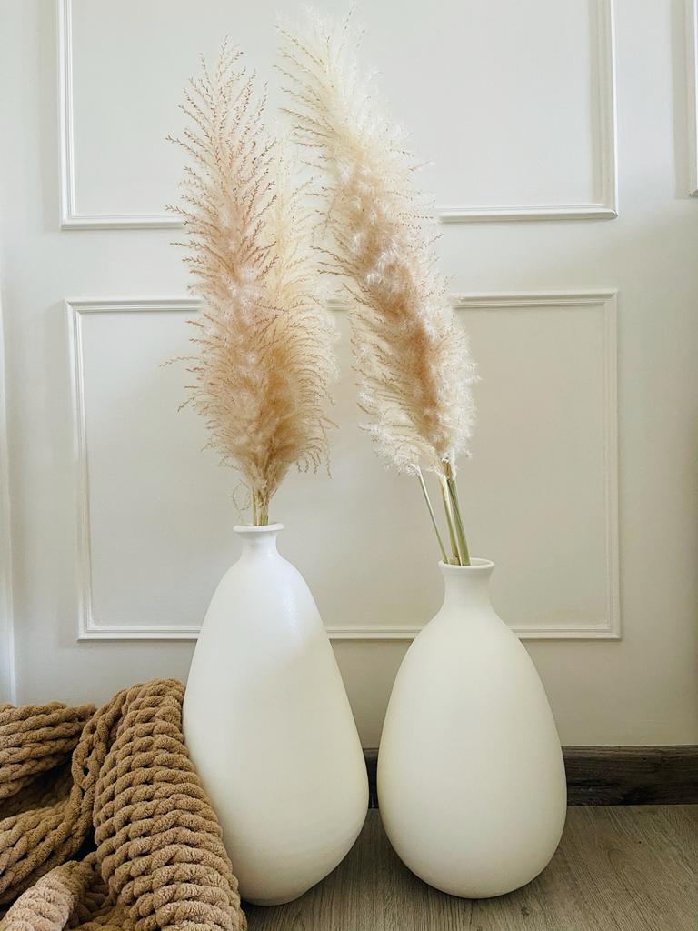 مجموعة ليني من مزهريتين - N