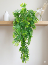 Lush Plant_F10