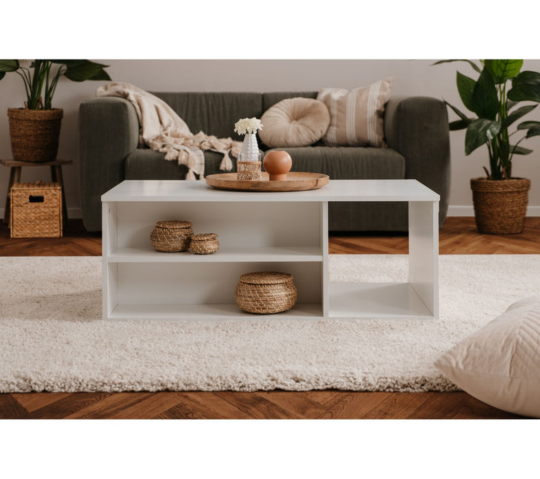 Alexis Coffee Table-ST054