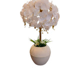 Soft Plant_F15