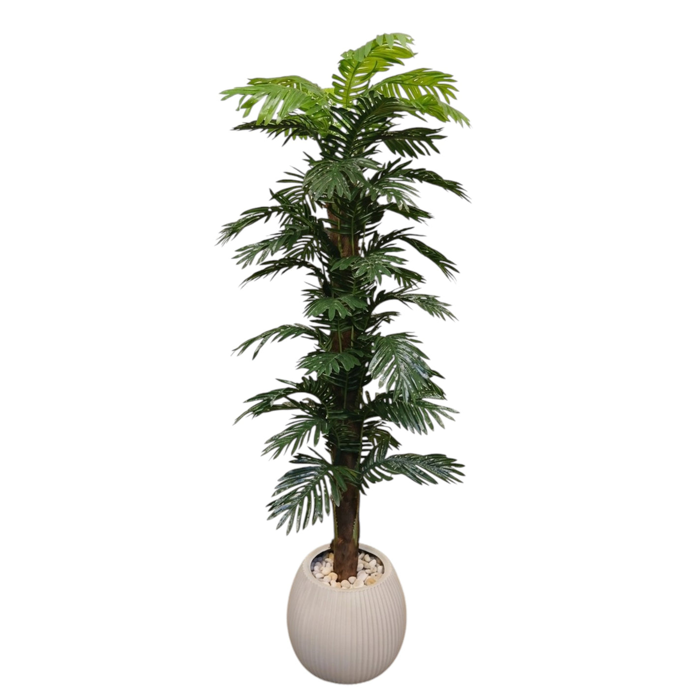 Elegance Planet_F27