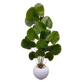 فلوريڤا بلانت_إف30