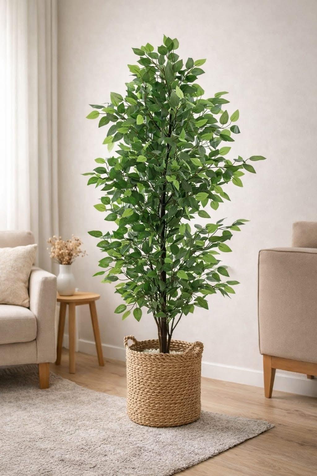 كوكب طبيعي_H17