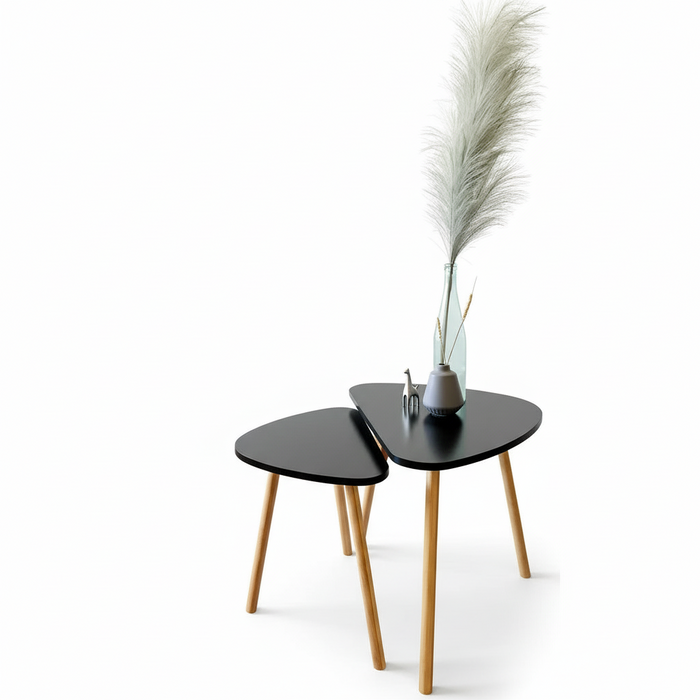 Ryan Set of 2 Side Tables-HI9