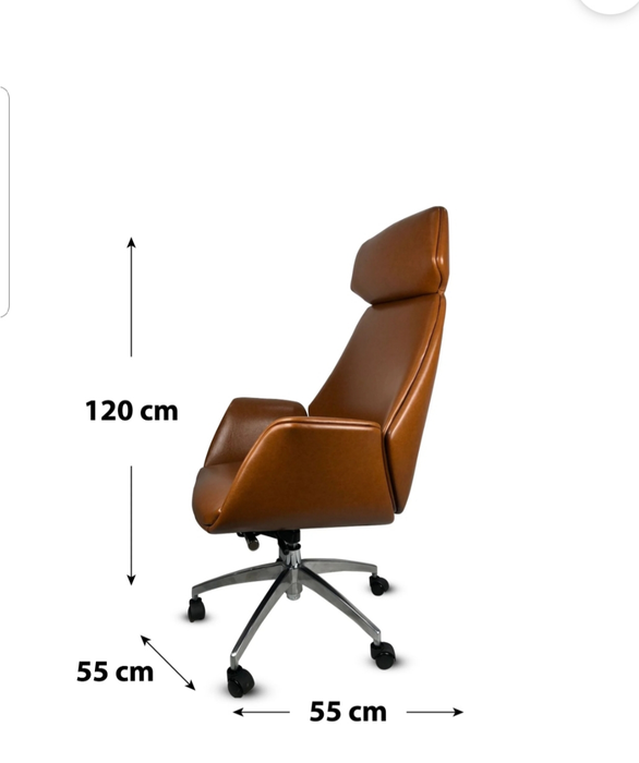 Bory Office Chair-CF5