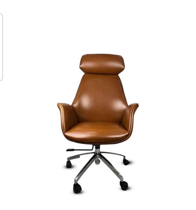 Bory Office Chair-CF5