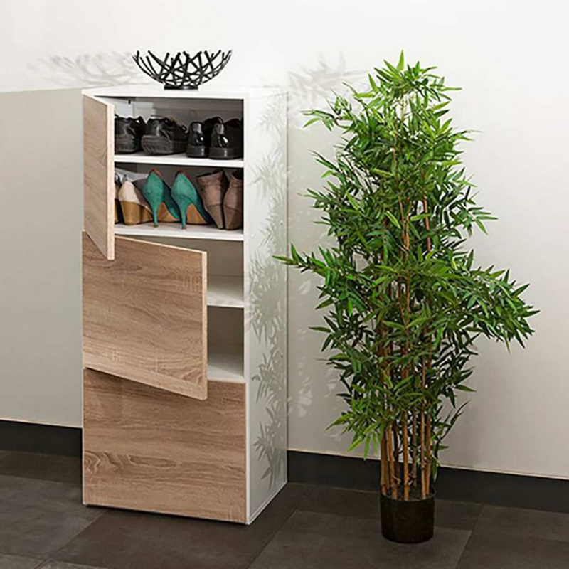 Roma Shoe cabinets _ S0307