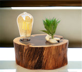 Betsy Table lamp with cactus-4