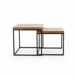 SERAL SET OF 2 COFFEE TABLE-CT06