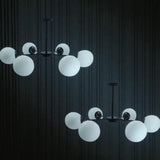 Havion Chandeliers - si-328-ch