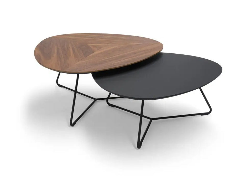 Audrey Set of 2 Coffee Tables-TB1000-EX0302