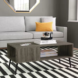 Ollie Coffee Table-TB1006-EX0321