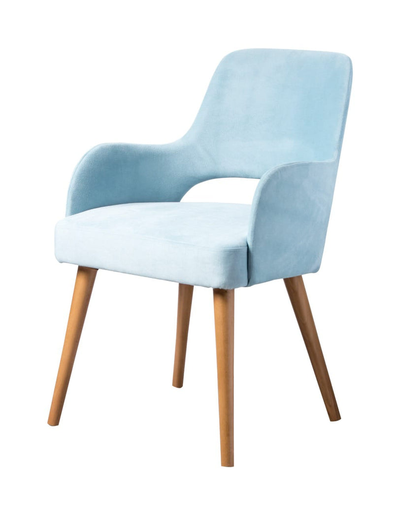 Celine Dining Chair-HL58-www.manzzeli.com