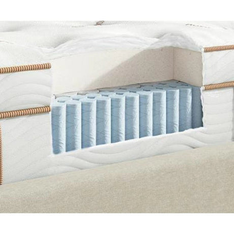 FAIRMONT EXTRA MATTRESS-MNZ-100121918-www.manzzeli.com
