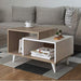 Noel Coffee Table-HL29-www.manzzeli.com