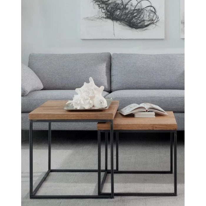 SERAL SET OF 2 COFFEE TABLE-CT06-www.manzzeli.com